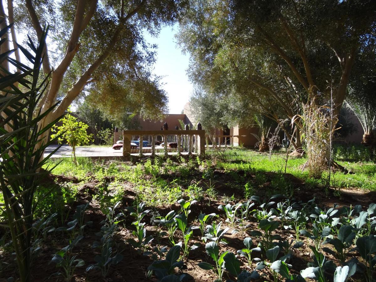 Hamada Du Draa Bed & Breakfast M'Hamid Luaran gambar