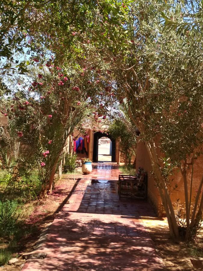 Hamada Du Draa Bed & Breakfast M'Hamid Luaran gambar